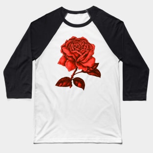 Rose Red Love Vintage Tattoo Illustration Roses Baseball T-Shirt